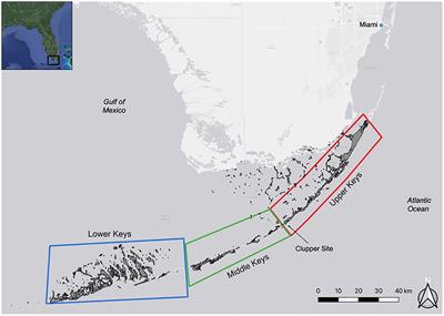 Species identification of modern and archaeological shark and ray skeletal tissues using collagen peptide mass fingerprinting